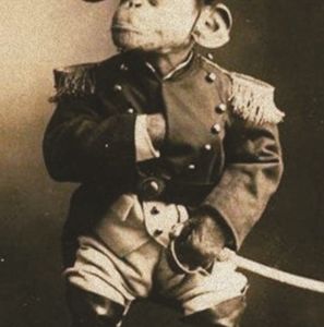 Meet your Posher, Bob